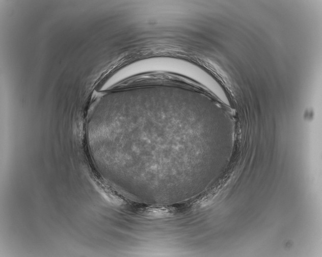 X0000094820405200711301634