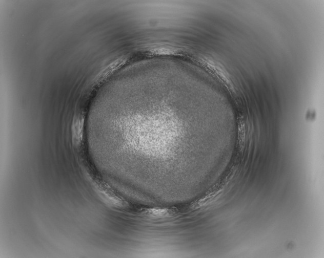 X0000094820406200711301634