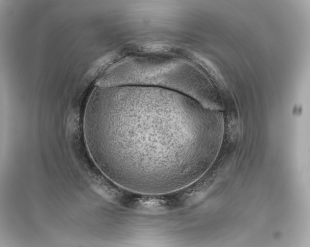 X0000094820407200711301634