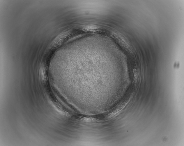 X0000094820408200711301634