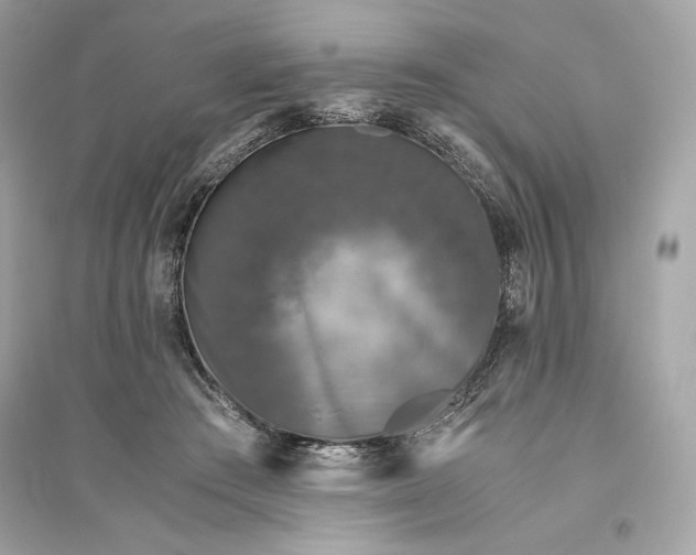 X0000094820409200711301634