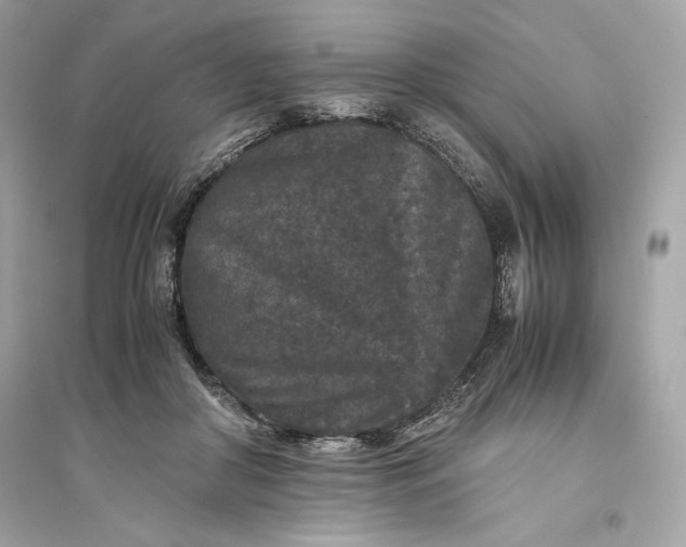 X0000094820410200711301634