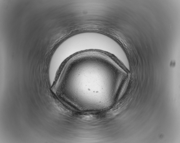 X0000094820411200711301634