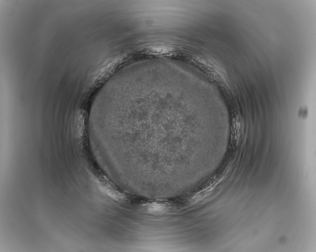 X0000094820412200711301634