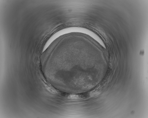 X0000094820413200711301634