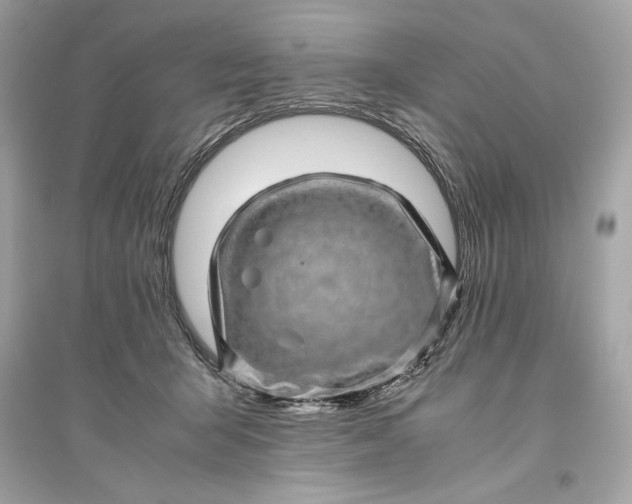 X0000094820415200711301634