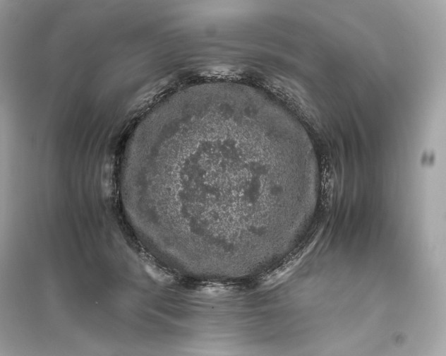 X0000094820416200711301634