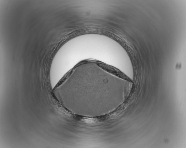 X0000094820417200711301634