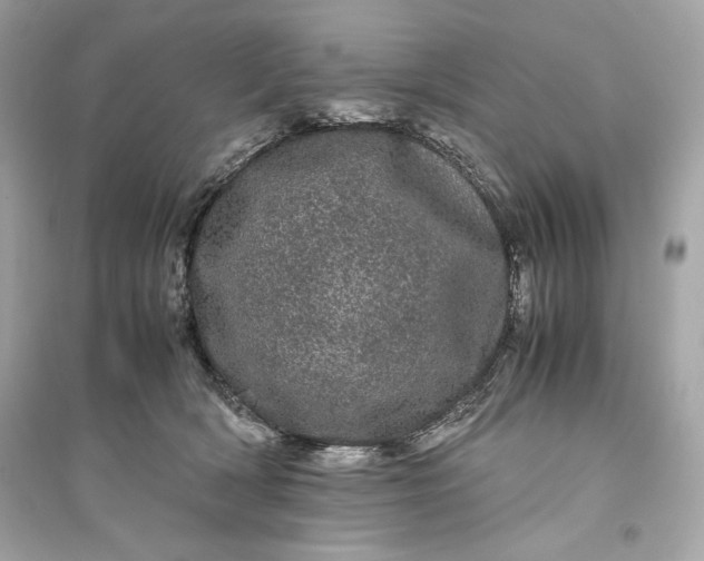 X0000094820418200711301634