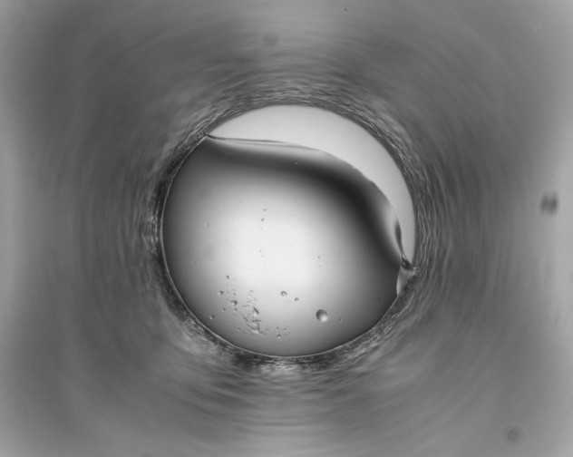 X0000094820419200711301634