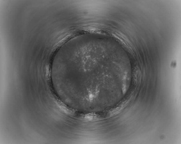 X0000094820420200711301634