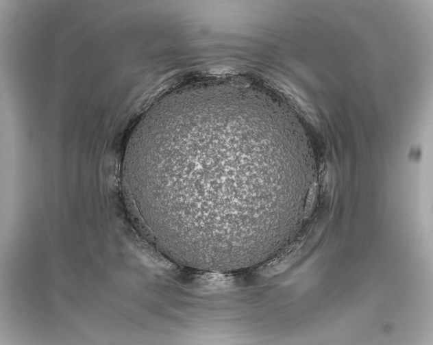 X0000094820421200711301634