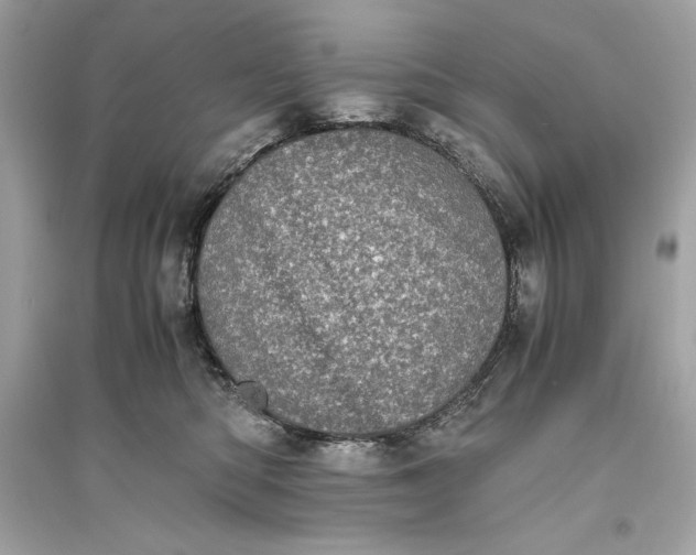 X0000094820422200711301634