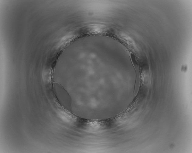 X0000094820423200711301634