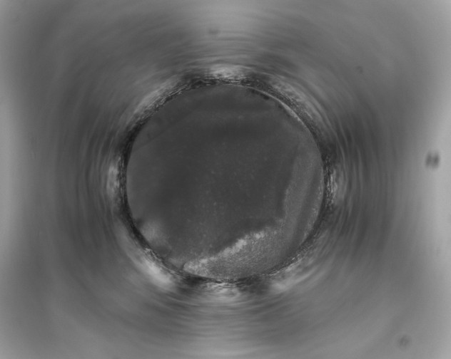 X0000094820424200711301634