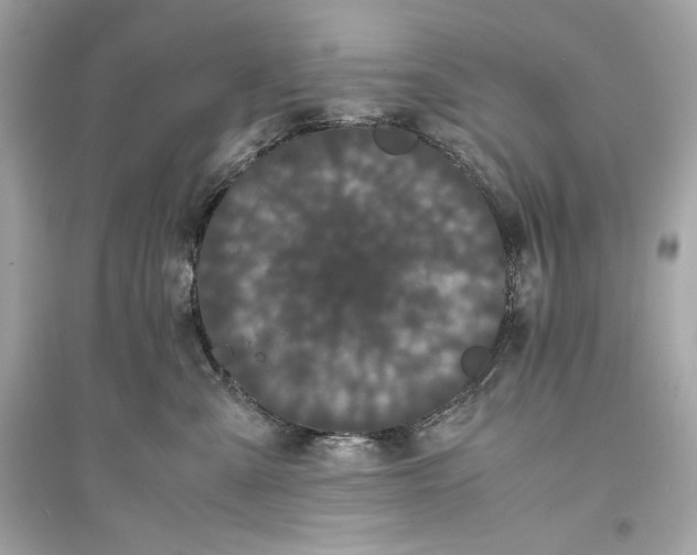 X0000094820427200711301634