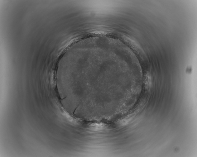 X0000094820428200711301634