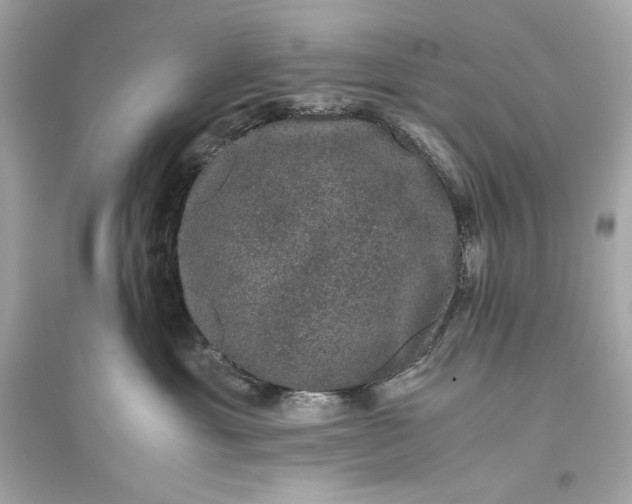 X0000094820429200711301634