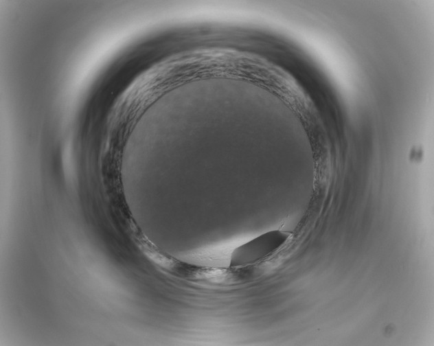 X0000094820431200711301634