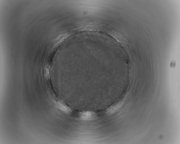 X0000094820432200711301634