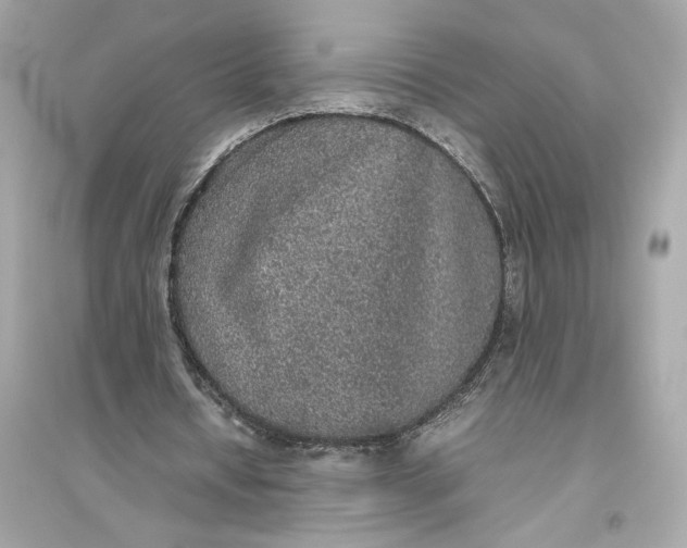 X0000094820434200711301633