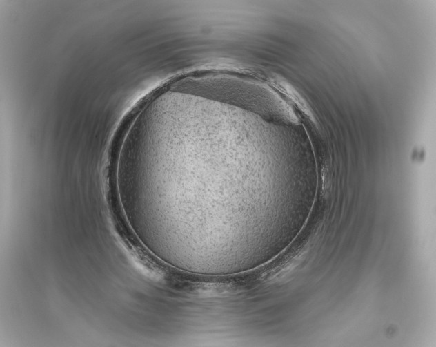 X0000094820436200711301633