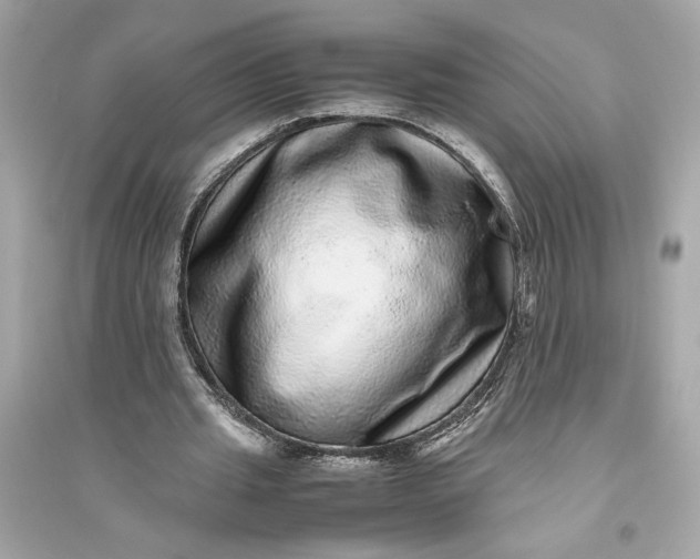 X0000094820437200711301633