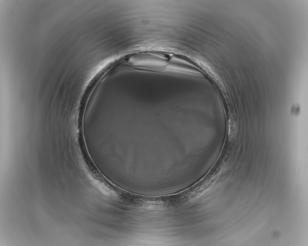 X0000094820438200711301633