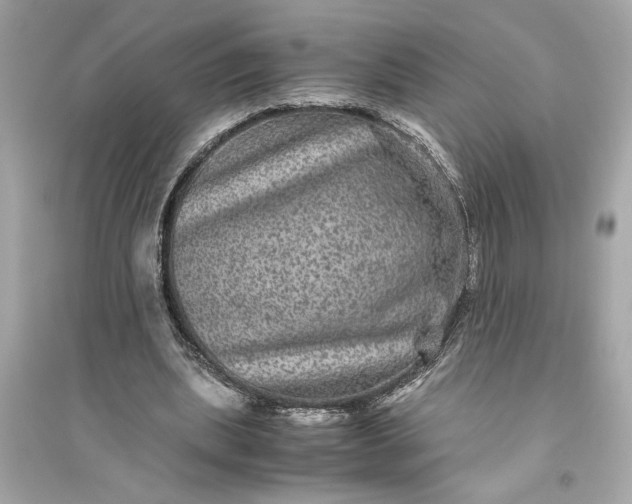 X0000094820439200711301633