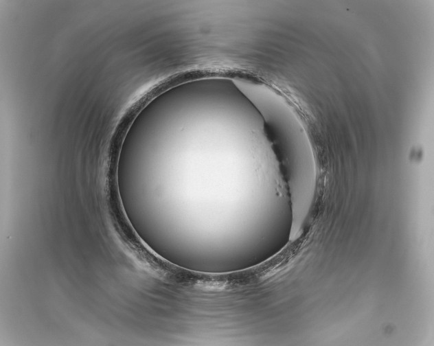 X0000094820440200711301633