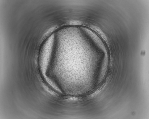 X0000094820441200711301633