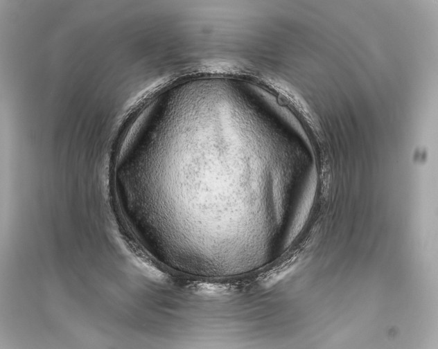 X0000094820442200711301633