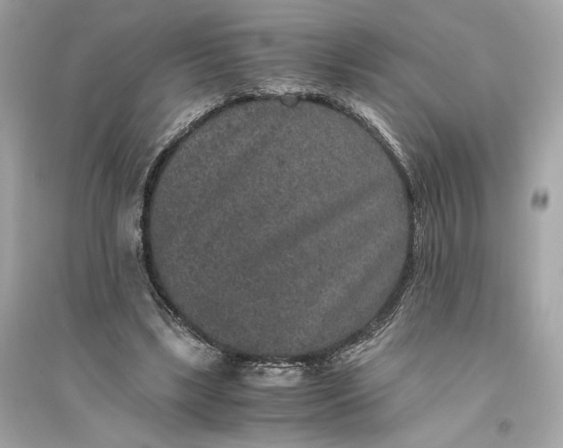 X0000094820443200711301633