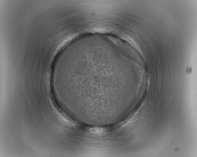 X0000094820444200711301633