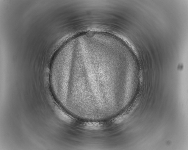 X0000094820445200711301633