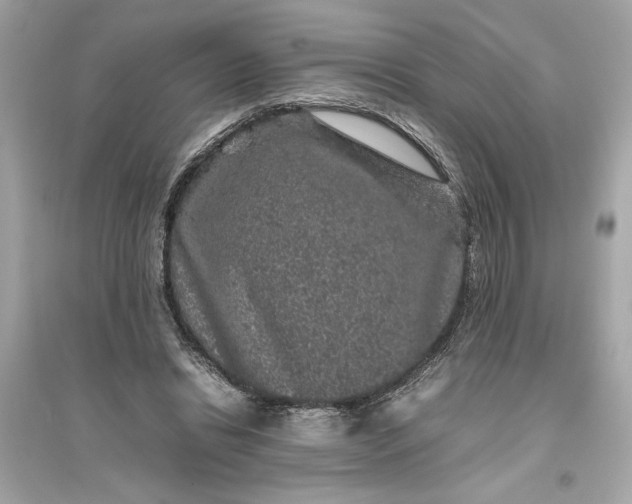 X0000094820446200711301633