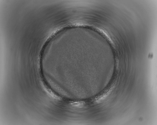 X0000094820447200711301633