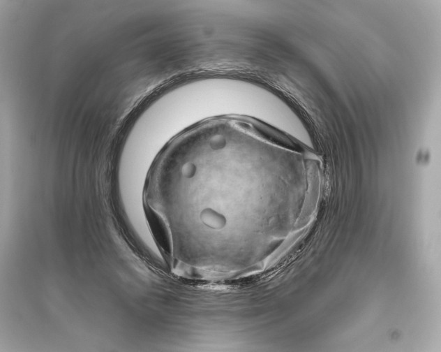 X0000094820448200711301633