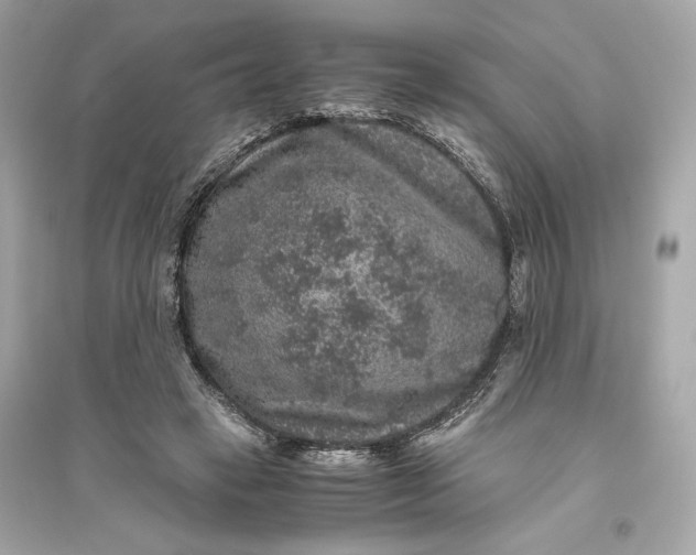 X0000094820449200711301633