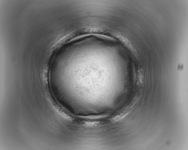 X0000094820450200711301633