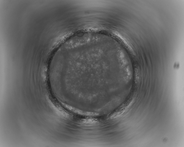 X0000094820451200711301633