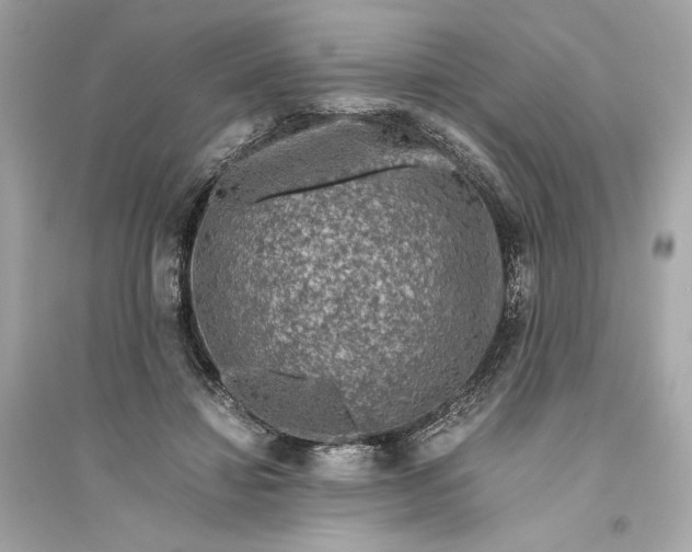 X0000094820452200711301633