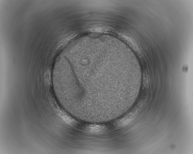 X0000094820453200711301633