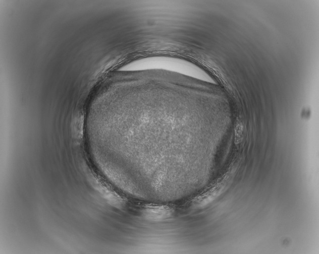 X0000094820454200711301633