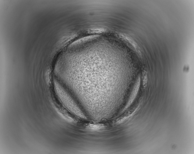 X0000094820455200711301633