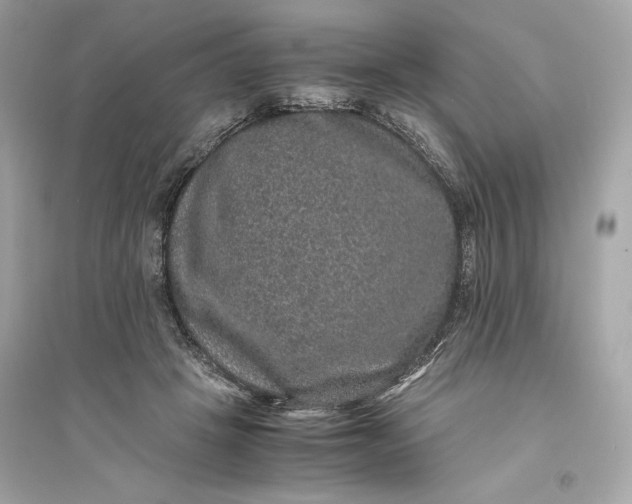 X0000094820457200711301633