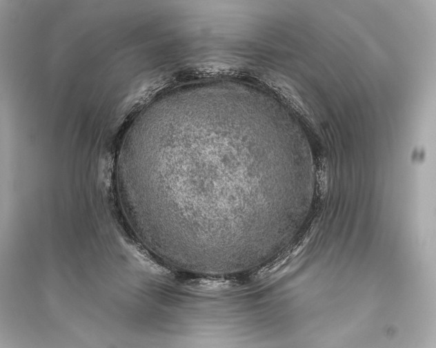 X0000094820458200711301633