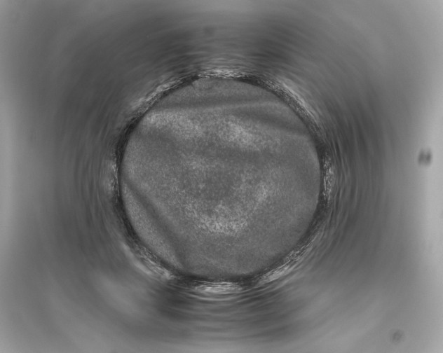 X0000094820459200711301633