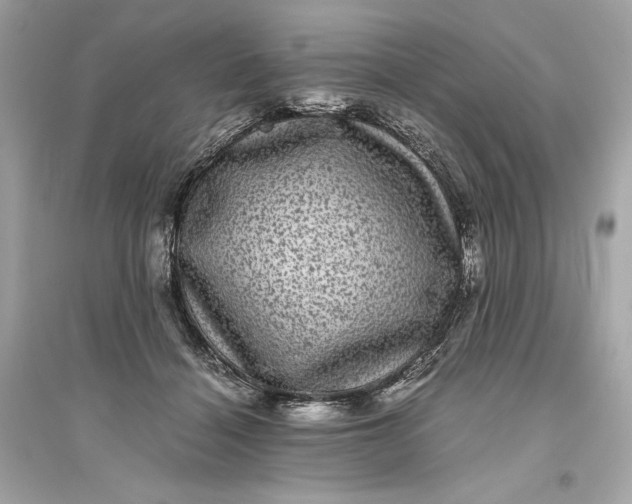 X0000094820460200711301633