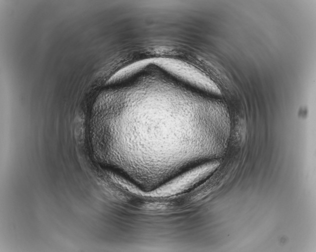 X0000094820461200711301633